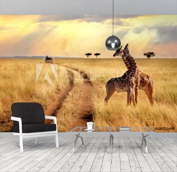 Picture of Group of giraffes in the Serengeti National Park on a sunset background with rays of sunlight African safari